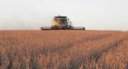 Hay referencia de precio para la soja de 2014