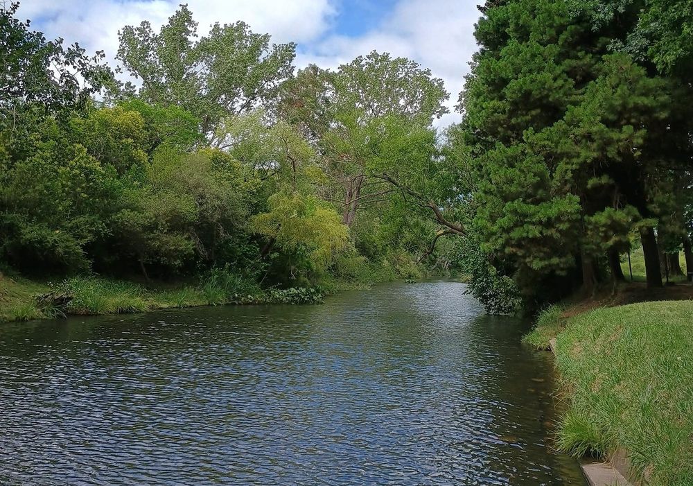 Joven de 19 años falleció tras ahogarse