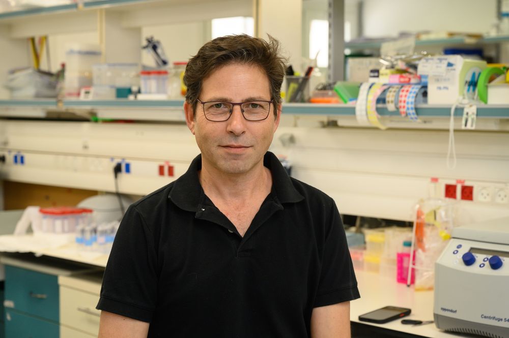 WhatsApp Image 2024-11-26 at 4.10.48 PM.jpeg