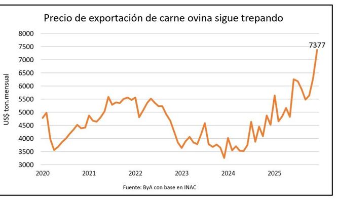 Rubro ovino con registros sin antecedentes.