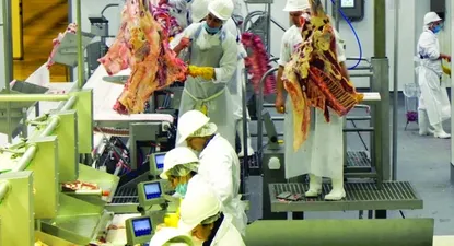 El Observador | 0000102136.webp