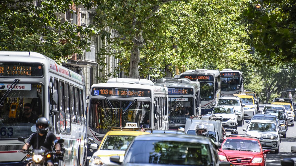 Pese a instalar cámaras en ómnibus hace dos años para fiscalizar el solo bus, IMM dejará su implementación para el próximo gobierno