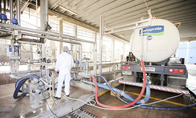 Descarga de leche en complejo industrial de Conaprole.