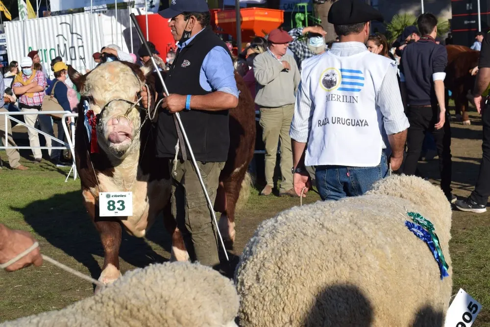 La Expo Prado 2021 terminó con balances positivos de los criadores