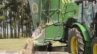El costo del combustible es relevante en varios de los rubros del agro.