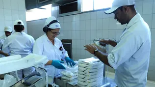 Zafra azucarera de ALUR cerró por encima de media histórica