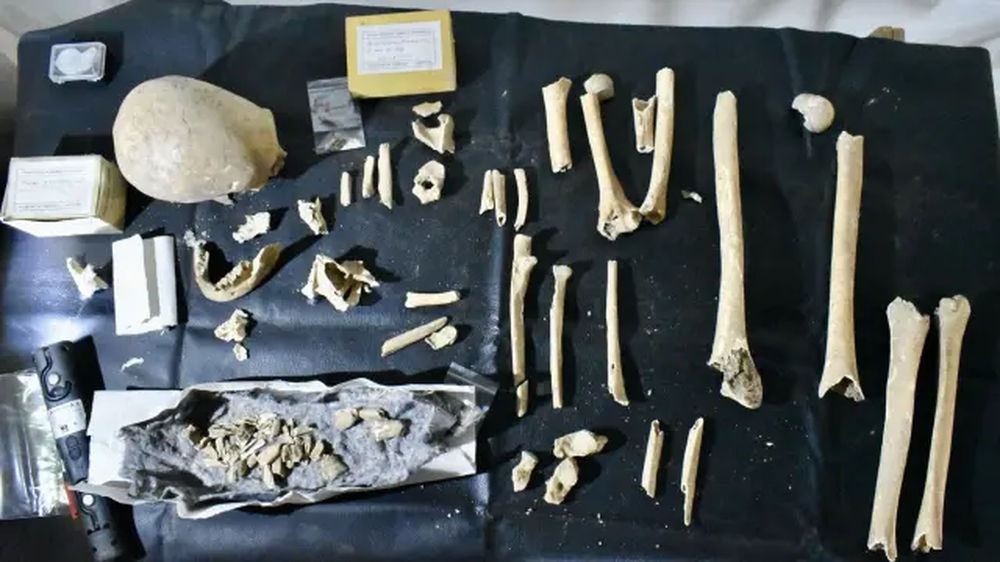 Restos óseos que se atribuyen al obispo Teodomiro