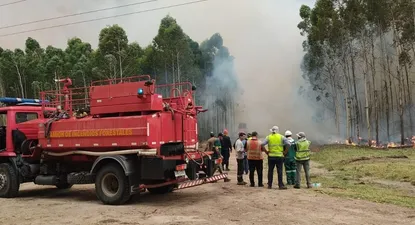 Incendio forestal ocurrido en Paysandú