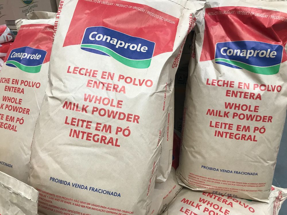Leche en polvo