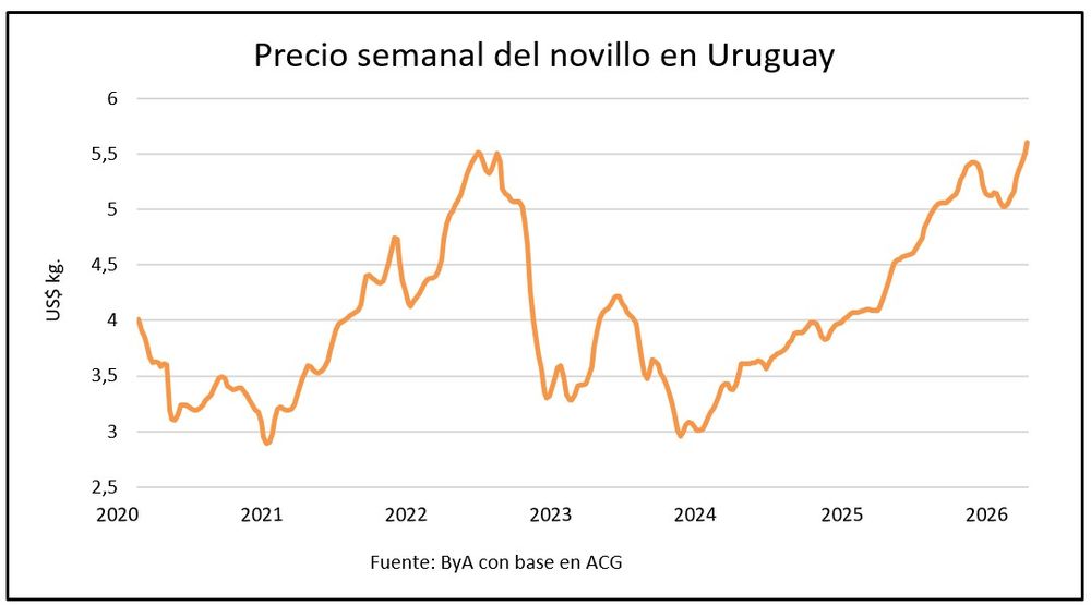 Ganado gordo y un precio récord en un momento que sorprende a muchos.