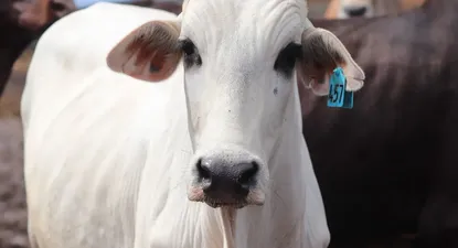 El Observador | 1624486920653.webp