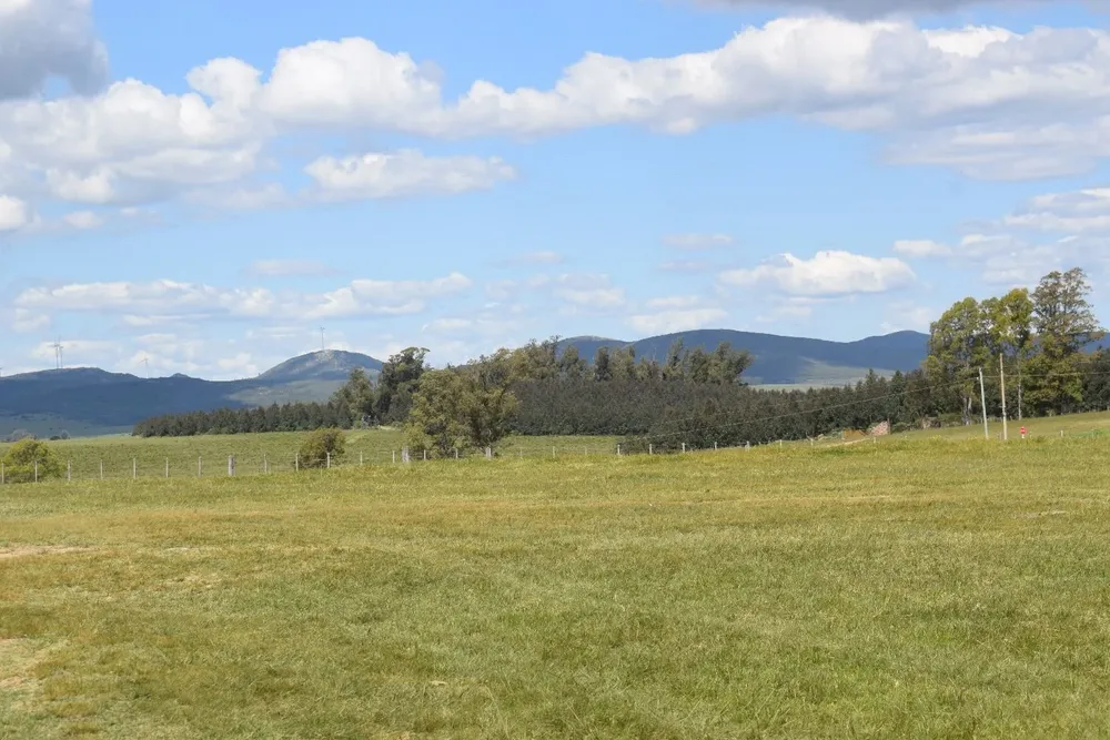 En el primer semestre de 2021 el valor total de los arrendamientos superó los US$ 48 millones.