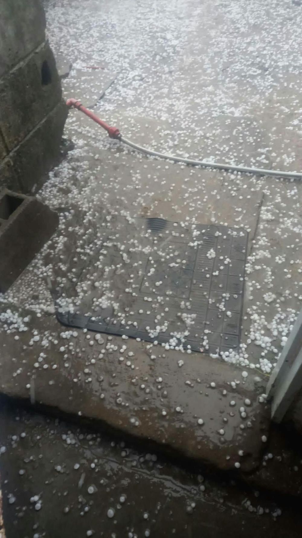 Caída de granizo en Young, Río Negro