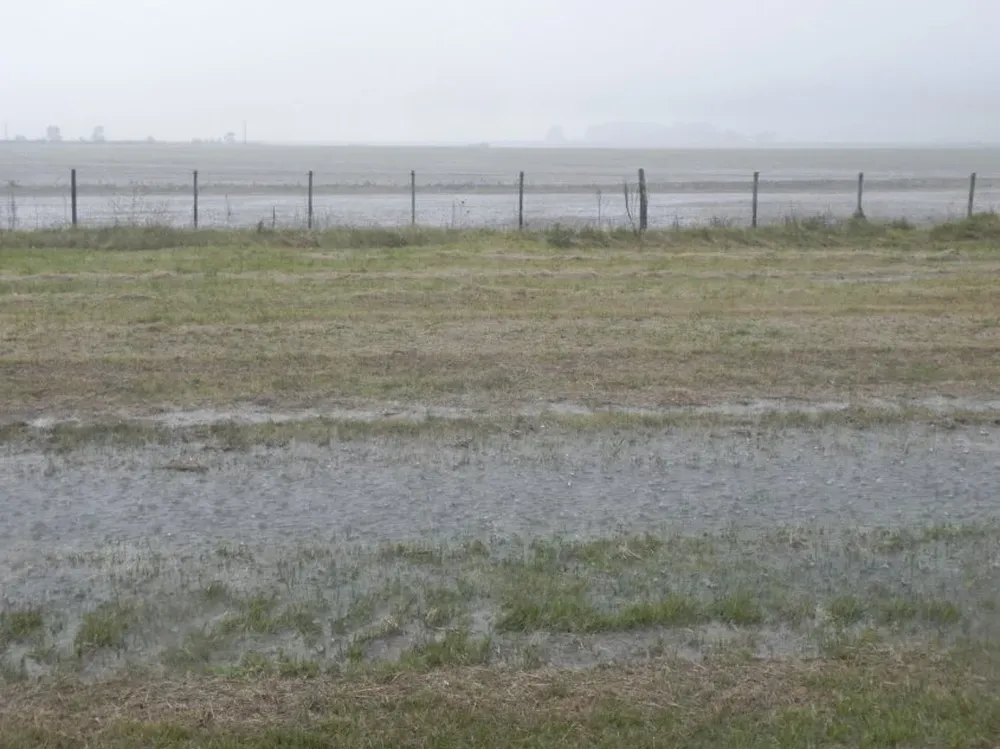 La entidad ruralista solicitó la postergación del vencimiento de pagos tributarios.