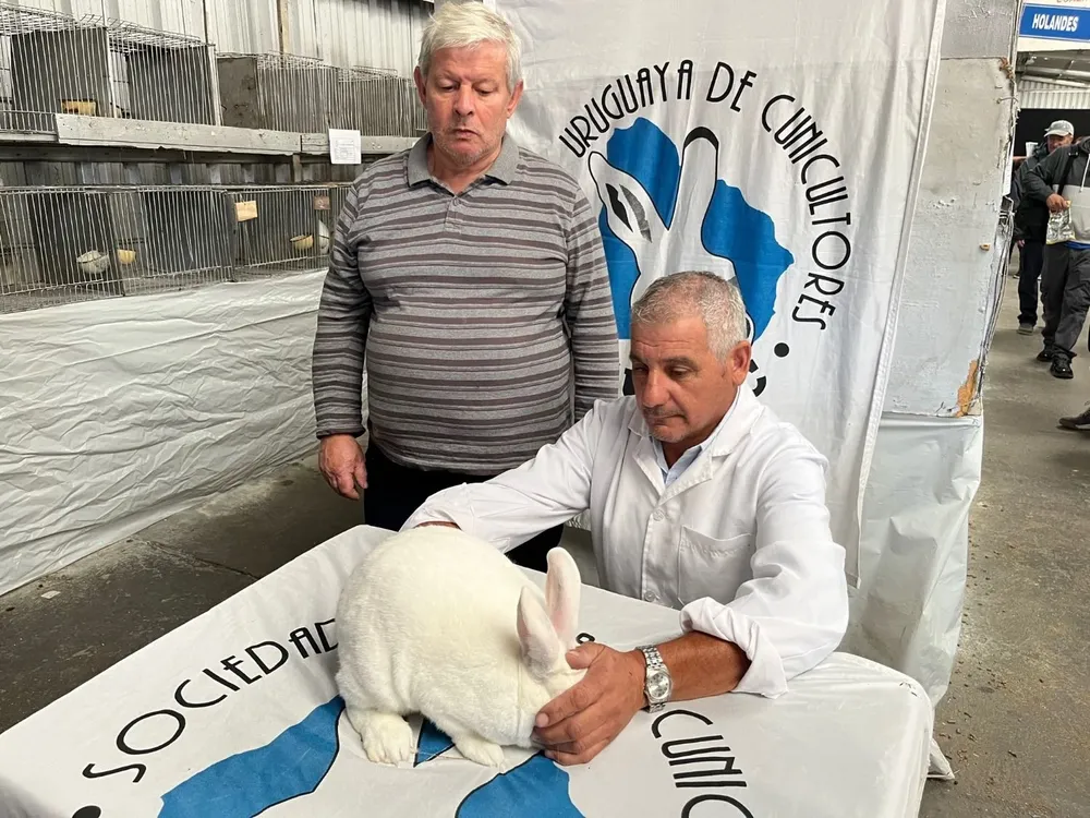 El presidente de Sudec, el jurado y el ejemplar del cabañero Chiappino, ganador del premio máximo.