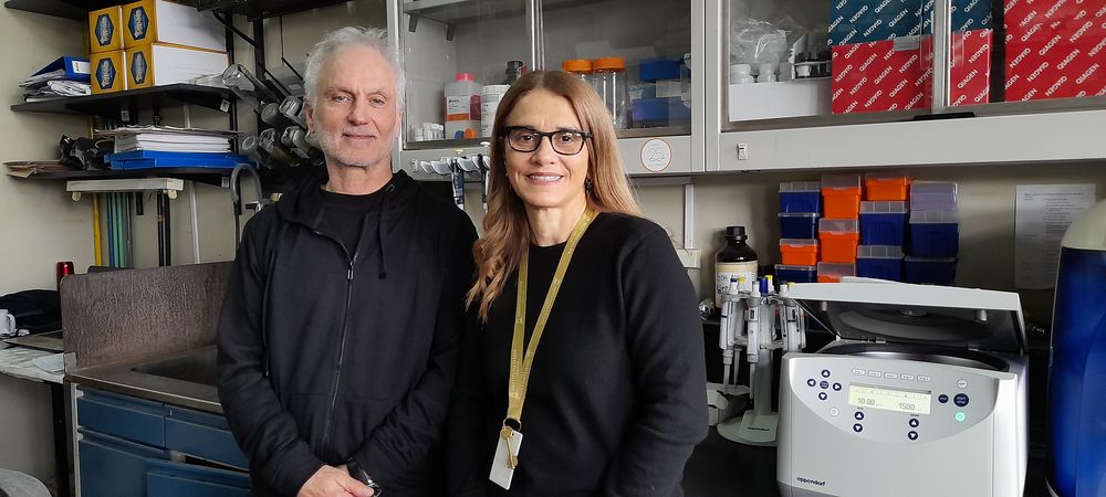 Osvaldo Podhajcer, coordinador de la red LACRN en el país, y Andrea Llera, líder del artículo publicado en JCO Global Oncology.