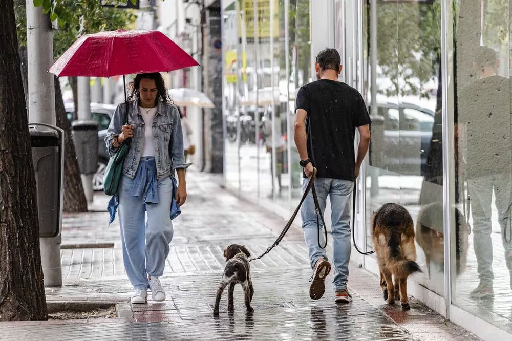 Transeuntes bajo la lluvia