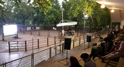 federico rodriguez rematara el 6 en melo