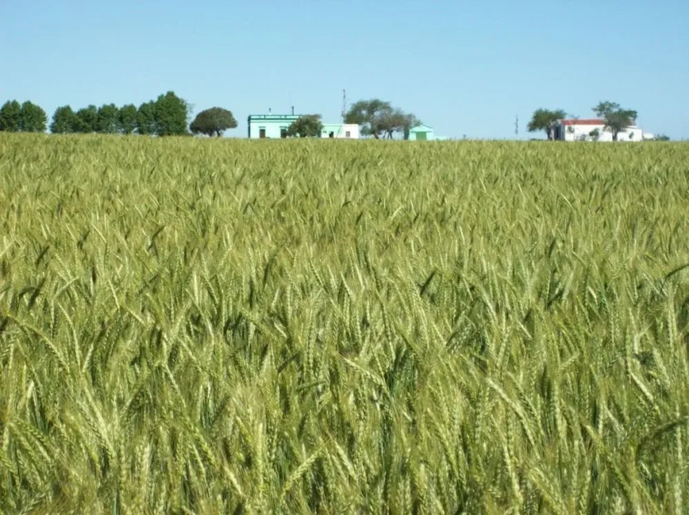 . La propuesta forma parte de un nuevo tipo de presupuesto, que plantea una rebaja del 5%