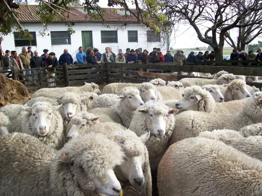 Lo que importa es un sistema productivo, que sea rentable y sustentable, dijo Narbondo