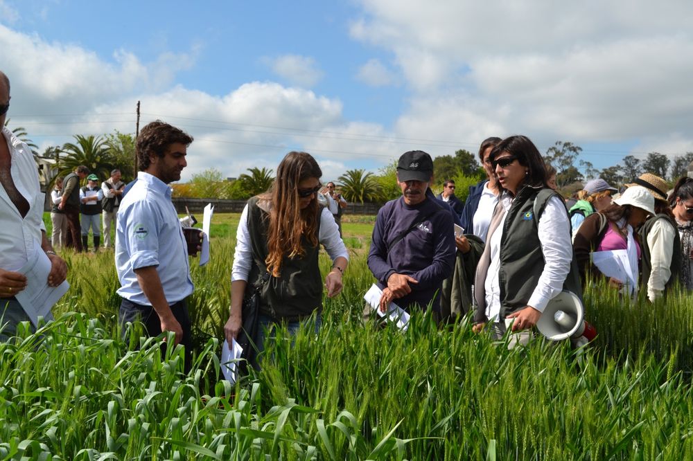 Inase anunció una Jornada de Campo especial: la de los 20 años.