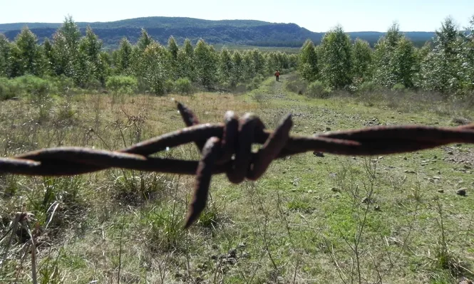 El caso surgió a raíz de una consulta que realizó en junio de 2021 la empresa Forestal Oriental SA.
