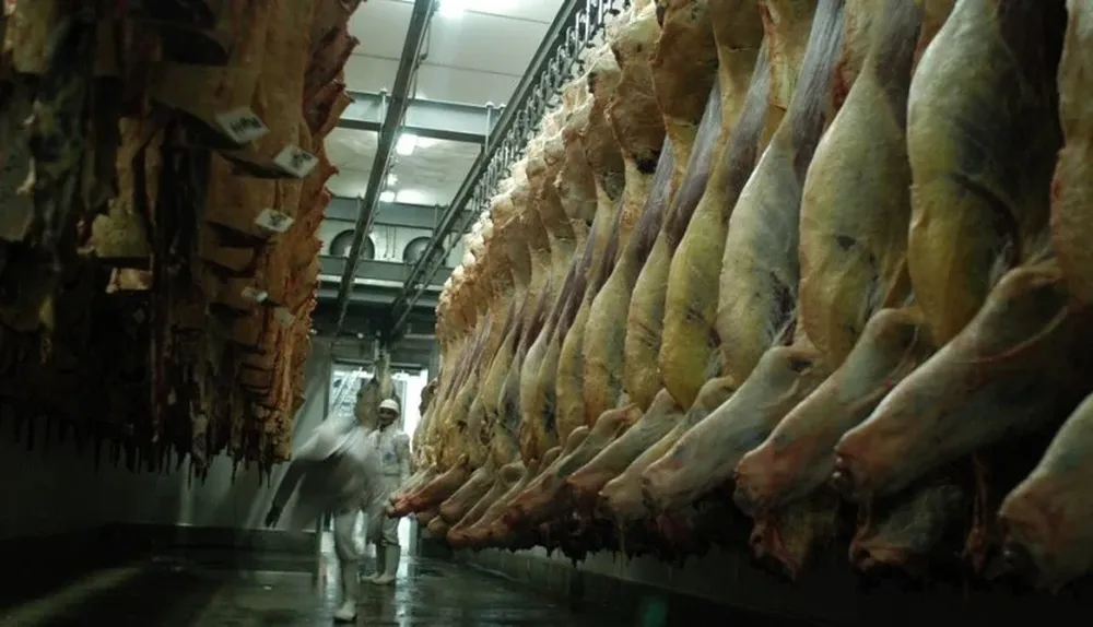 La caída del stock vacuno en EEUU abre una oportunidad a la carne uruguaya