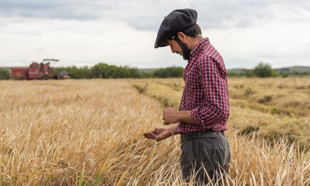 UTU: la gestión productiva en las escuelas agrarias generó importantes ganancias en 2023.