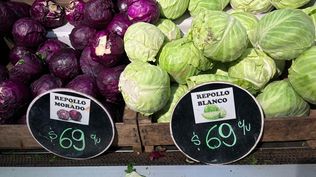 Se activó una nueva Lista Inteligente de frutas y verduras: rige hasta fin de mes, mirá los precios en el MAM