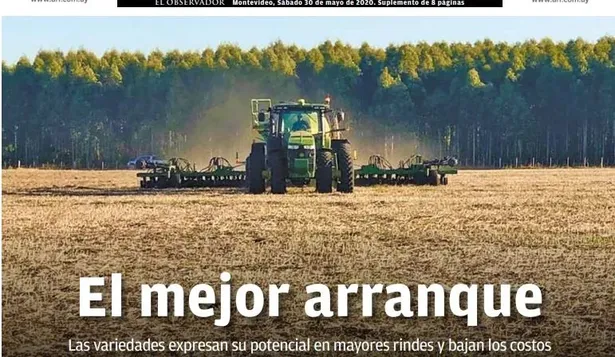 Cultivos de invierno: las variedades expresan su potencial en mayores rindes y bajan los costos