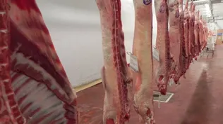 Astori destacó ingreso de carne ovina con hueso a Estados Unidos