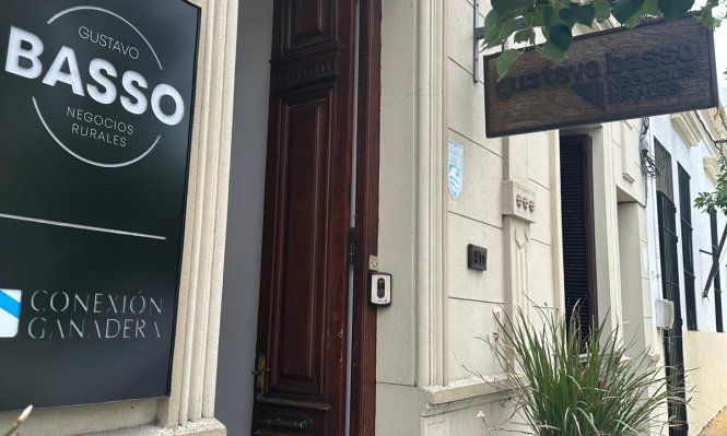 Conexión Ganadera: gerente operativo dijo que había cajas enteras de contratos sin firmar por los inversores