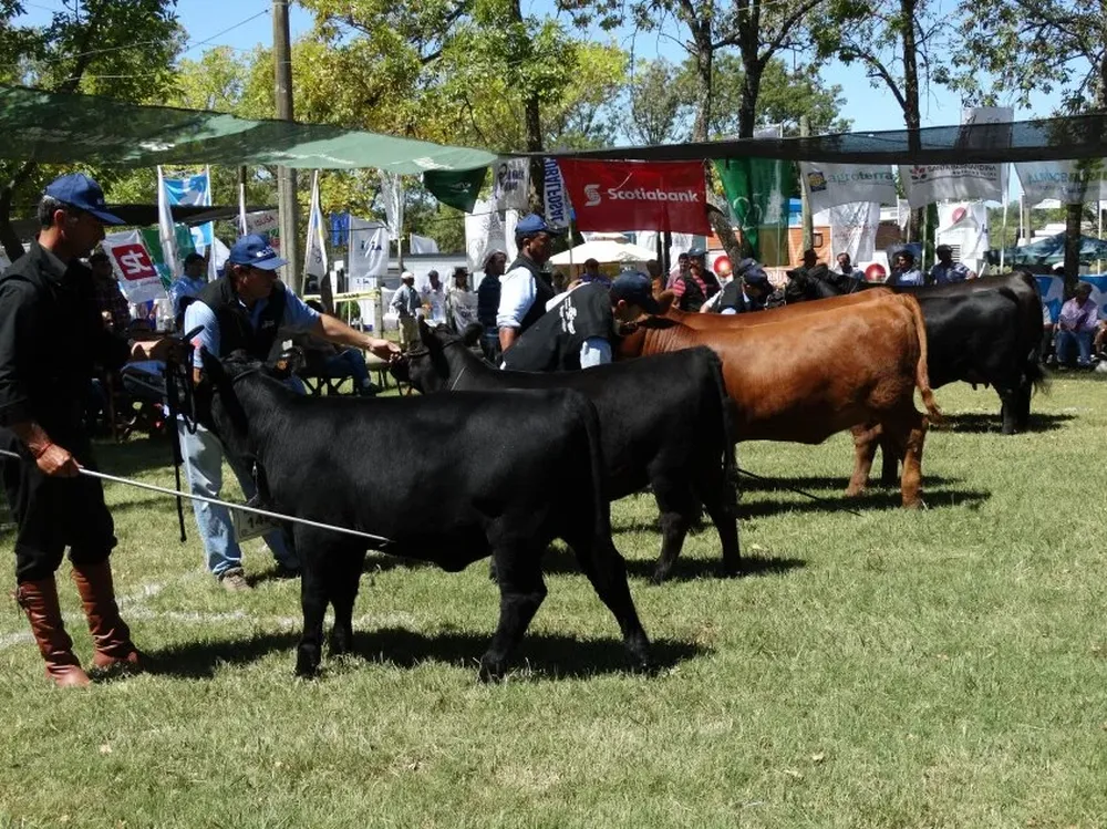 Una escena de la Expo Durazno que volverá a repetirse la semana próxima