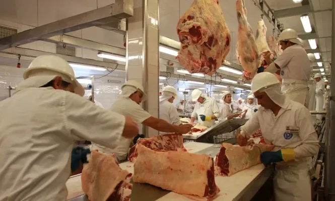 El mercado europeo amplía posibilidades a las carnes uruguayas