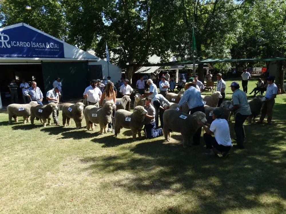 Habrá reproductores de 11 razas y de 14 departamentos