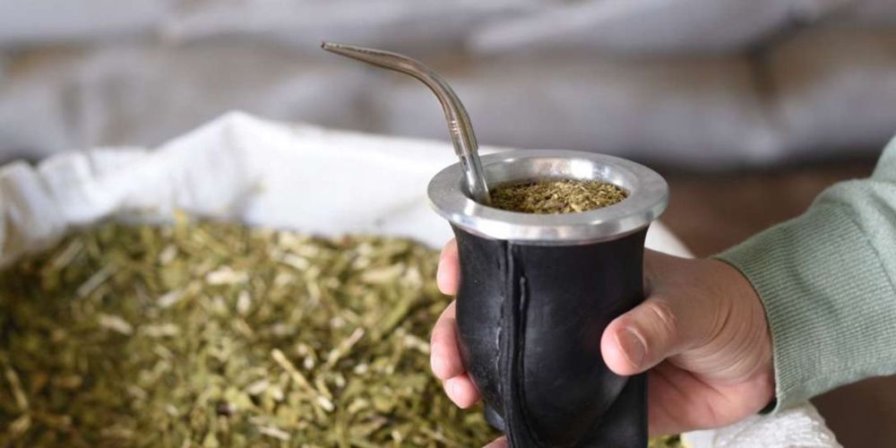 yerba con o sin polvo