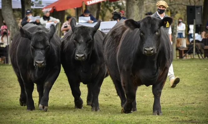 Las actividades se realizaron en la Asociación Rural de Florida.
