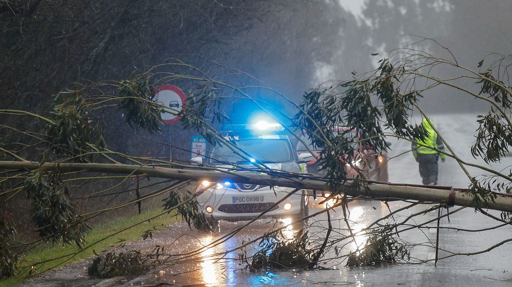 Árboles caídos y fuertes vientos arrasan Galicia.