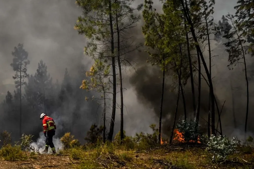 Los bomberos están tratando de garantizar la estabilización del fuego en la región, cuyo perímetro ya alcanza los 60 kilómetros