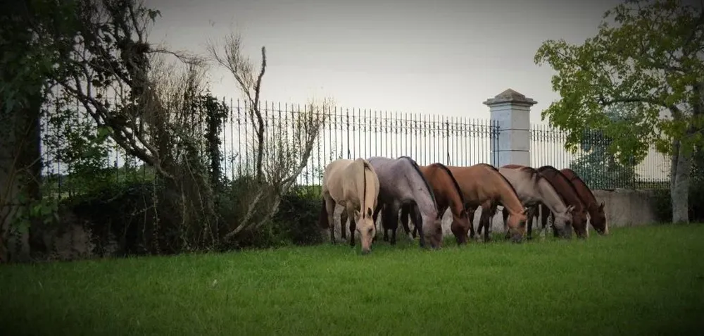 Desde la hora 20, con negocios en 18 cuotas, a cargo del escritorio Valdez y Cía