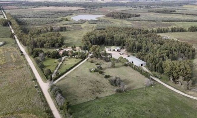 María Dolores después de la tormenta: la actividad lechera comenzará en 2027 y mientras tanto productores plantarán