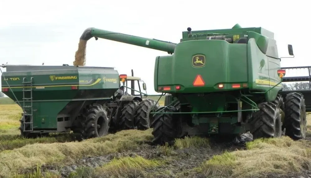 El área puede ser menor incluso a las 164 mil has