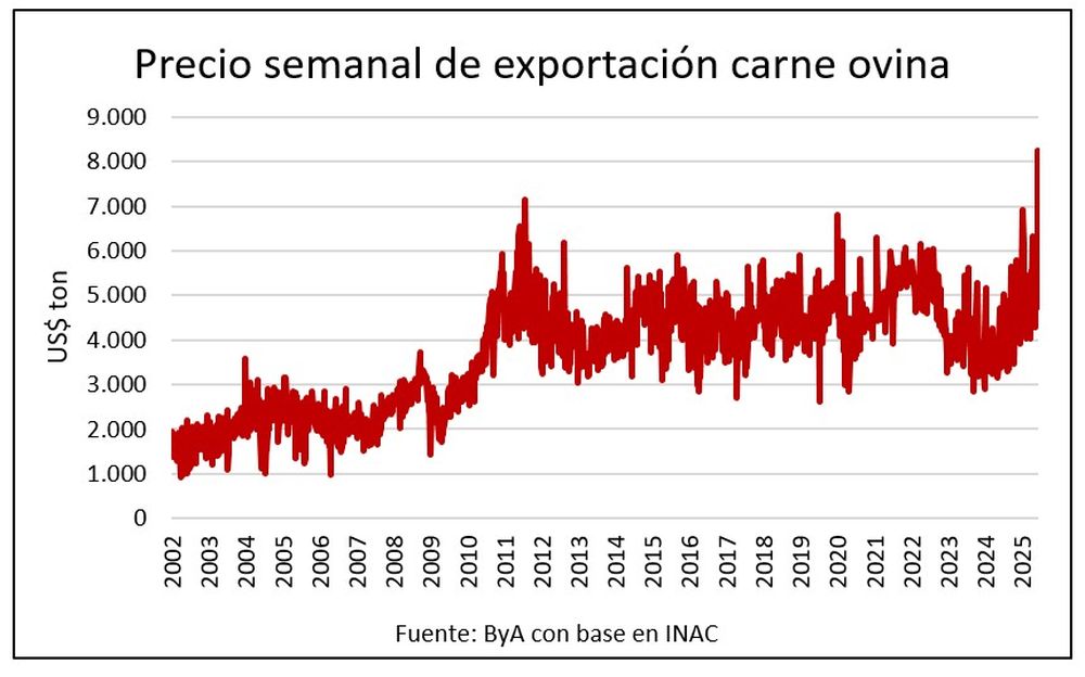 Carne ovina: trepa el precio para el producto uruguayo.
