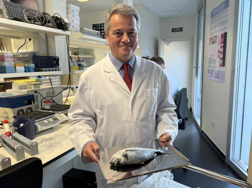 Captura de pantalla 2026-03-10 a la(s) 10.36.42