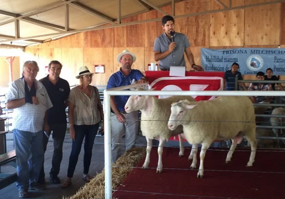 Los criadores junto al rematador Alejandro Zambrano en la edición de 2016