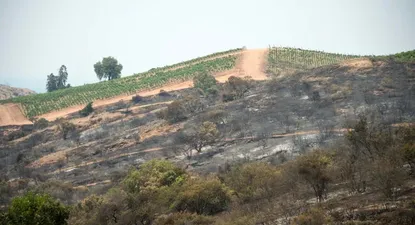 Incendios forestales en Chile