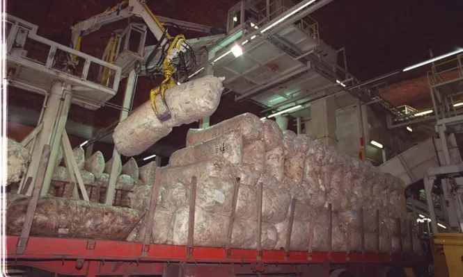 Las exportaciones de lanas en el último año móvil reportaron US$ 122,2 millones.
