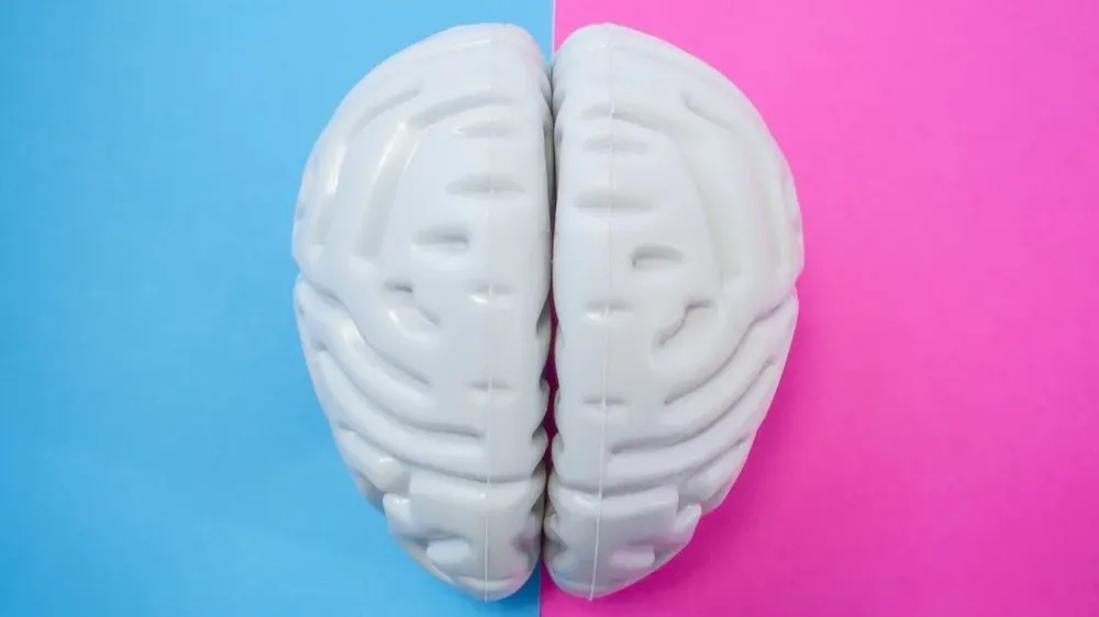 El concepto de que los hombres son de Marte y las mujeres de Venus, o sea, de que son esencialmente distintos, lleva siglos incluso en la ciencia.