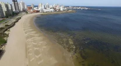 Aumentó casi 28% el ingreso de turistas argentinos al país en 2017