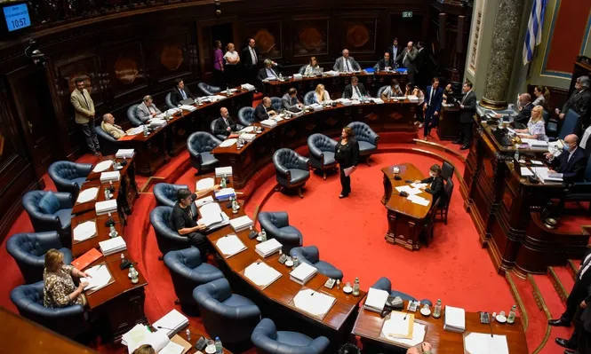 Colorados exhortan a sus senadores a tratar el proyecto de ley de eutanasia